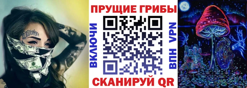 купить цена Красноармейск Псилоцибиновые грибы Psilocybine cubensis